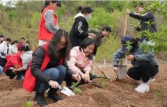 北大青年在平谷区挂甲峪村开展种植辣椒苗劳动实践