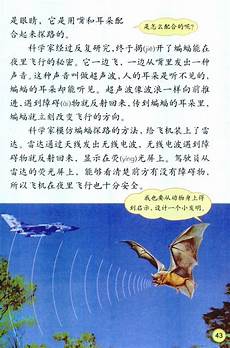 反义词表现了事物之间明显的对比关系
